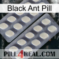 Black Ant Pill 07